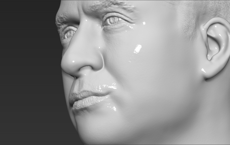 Prince William bust ready for full color 3D printing 3D Print 232753