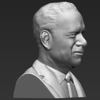 Tom Hanks bust 3D printing ready stl obj - Thumbnail 4