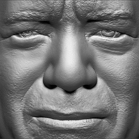 Tom Hanks bust 3D printing ready stl obj - Thumbnail 11