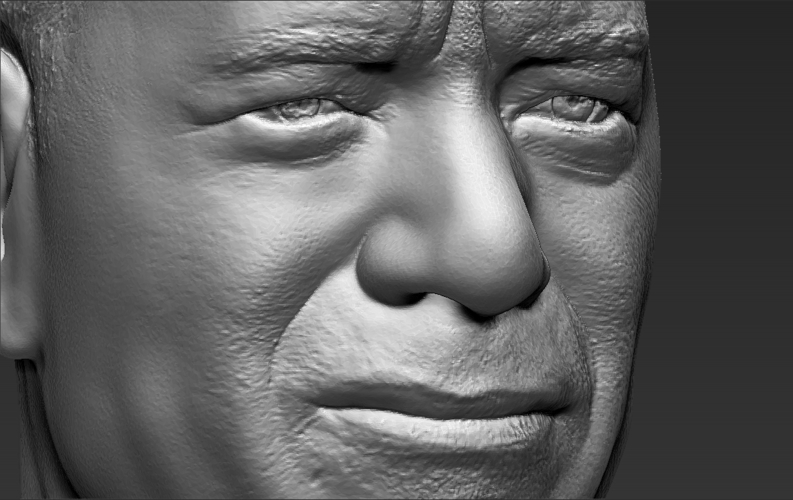 Tom Hanks bust 3D printing ready stl obj 3D Print 232846