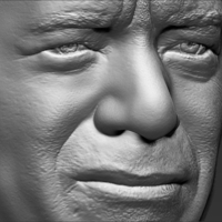 Tom Hanks bust 3D printing ready stl obj - Thumbnail 12