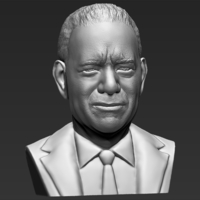 Tom Hanks bust ready for full color 3D printing - Thumbnail 17