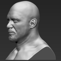 Stone Cold Steve Austin bust 3D printing ready stl obj - Thumbnail 3