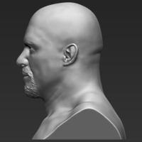 Stone Cold Steve Austin bust 3D printing ready stl obj - Thumbnail 4