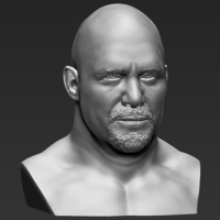 Stone Cold Steve Austin bust 3D printing ready stl obj - Thumbnail 9