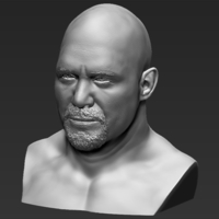 Stone Cold Steve Austin bust 3D printing ready stl obj - Thumbnail 11