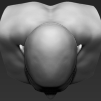 Stone Cold Steve Austin bust 3D printing ready stl obj - Thumbnail 13