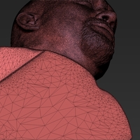 Stone Cold Steve Austin bust 3D printing ready stl obj - Thumbnail 18