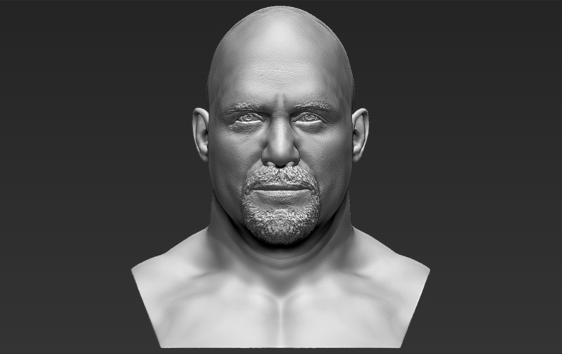 Stone Cold Steve Austin bust ready for full color 3D printing 3D Print 232902