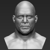 Stone Cold Steve Austin bust ready for full color 3D printing - Thumbnail 12