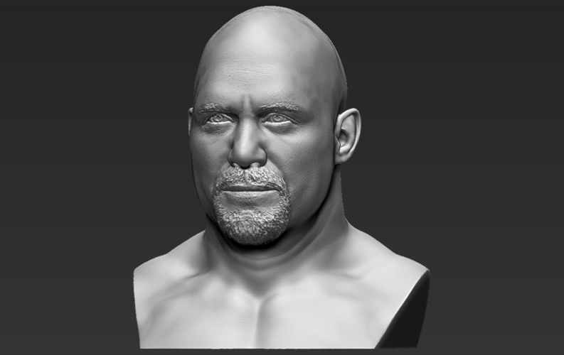 Stone Cold Steve Austin bust ready for full color 3D printing 3D Print 232903