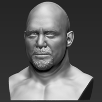 Stone Cold Steve Austin bust ready for full color 3D printing - Thumbnail 13