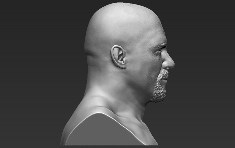 Stone Cold Steve Austin bust ready for full color 3D printing 3D Print 232906