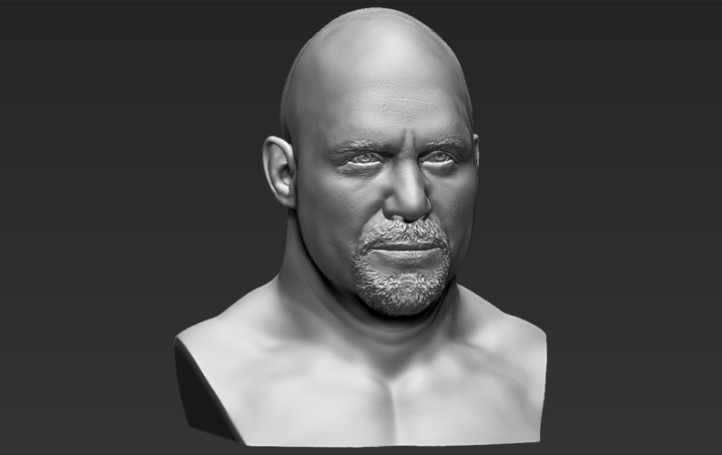 Stone Cold Steve Austin bust ready for full color 3D printing 3D Print 232907