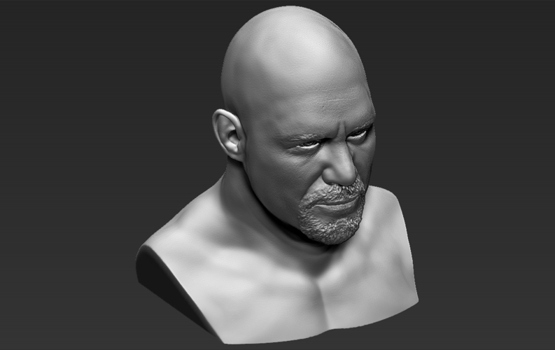 Stone Cold Steve Austin bust ready for full color 3D printing 3D Print 232908