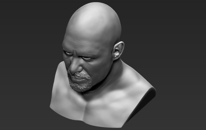 Stone Cold Steve Austin bust ready for full color 3D printing 3D Print 232909