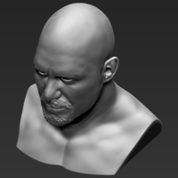 Stone Cold Steve Austin bust ready for full color 3D printing - Thumbnail 19