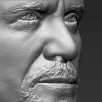 Stone Cold Steve Austin bust ready for full color 3D printing - Thumbnail 21