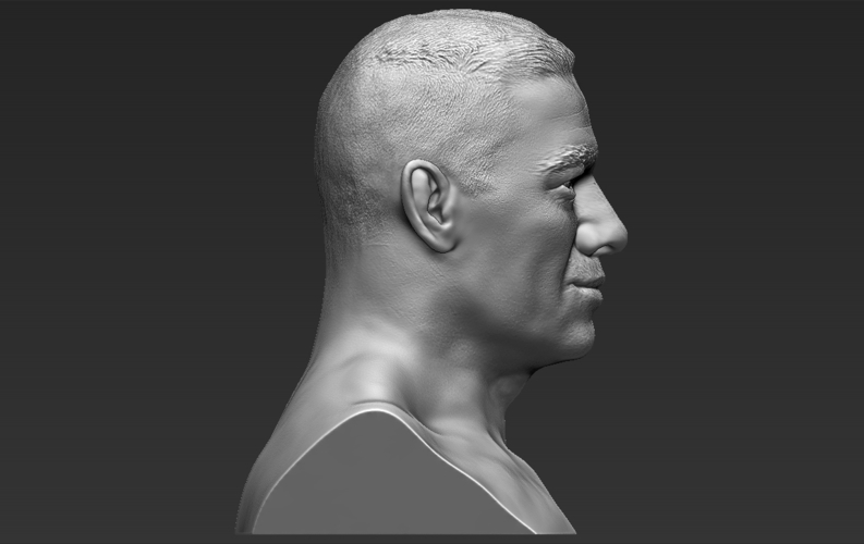 John Cena bust 3D printing ready stl obj 3D Print 232919