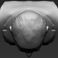 Prince Philip bust 3D printing ready stl obj - Thumbnail 12