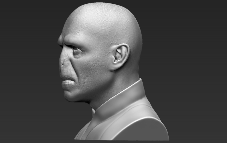 Lord Voldemort bust 3D printing ready stl obj 3D Print 233019