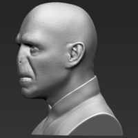 Lord Voldemort bust 3D printing ready stl obj - Thumbnail 3
