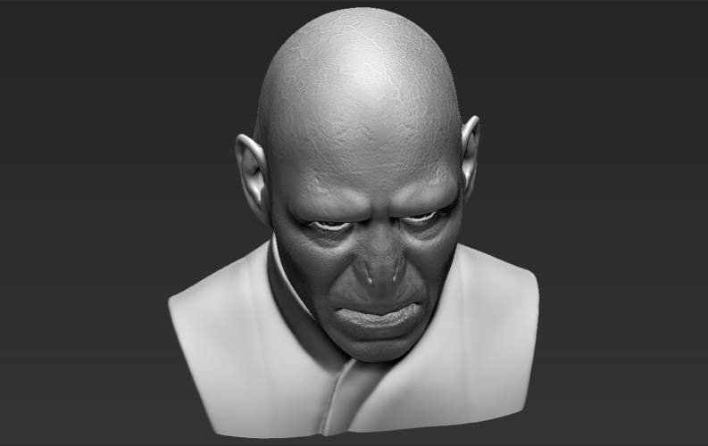 Lord Voldemort bust 3D printing ready stl obj 3D Print 233026
