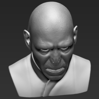 Lord Voldemort bust 3D printing ready stl obj - Thumbnail 10