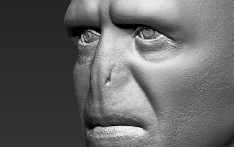 Lord Voldemort bust 3D printing ready stl obj 3D Print 233029
