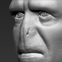 Lord Voldemort bust 3D printing ready stl obj - Thumbnail 13