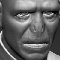 Lord Voldemort bust 3D printing ready stl obj - Thumbnail 15