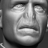 Lord Voldemort bust 3D printing ready stl obj - Thumbnail 16