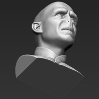 Lord Voldemort bust 3D printing ready stl obj - Thumbnail 17
