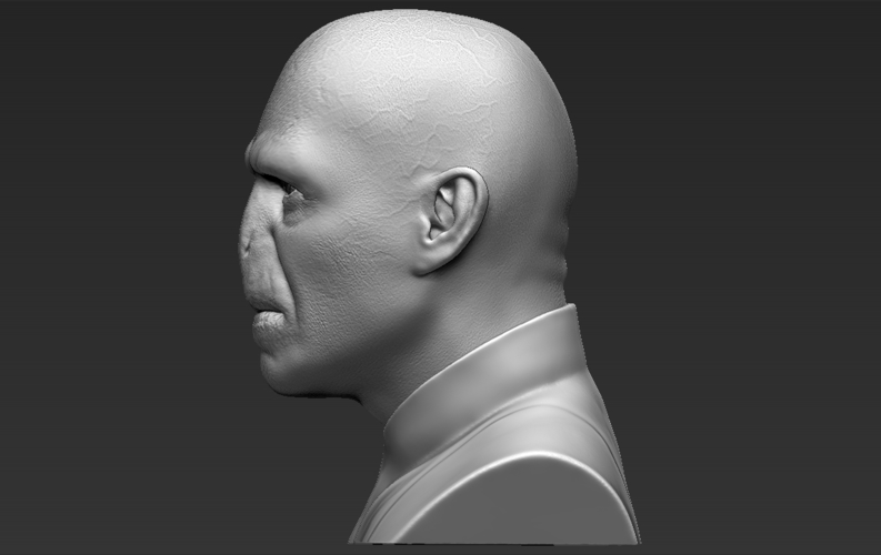 Lord Voldemort bust ready for full color 3D printing 3D Print 233050