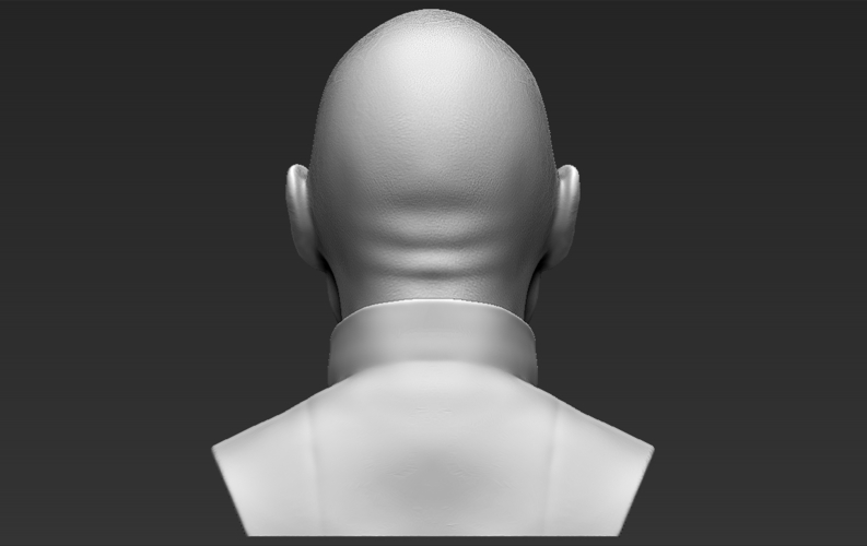 Lord Voldemort bust ready for full color 3D printing 3D Print 233051