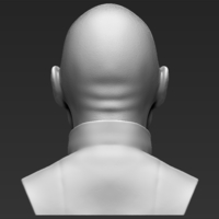 Lord Voldemort bust ready for full color 3D printing - Thumbnail 16