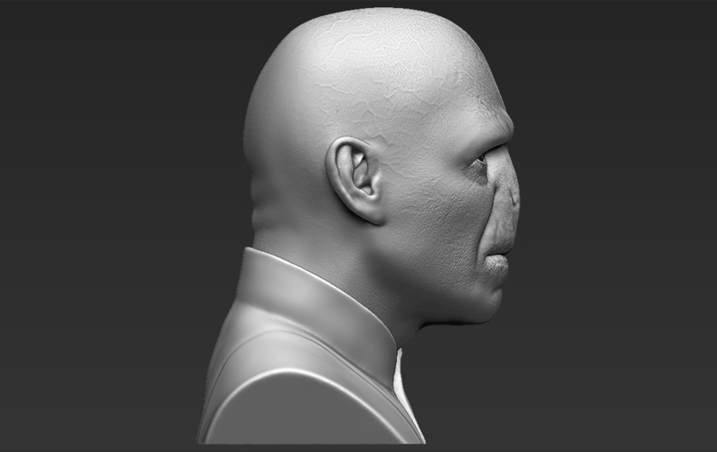 Lord Voldemort bust ready for full color 3D printing 3D Print 233052