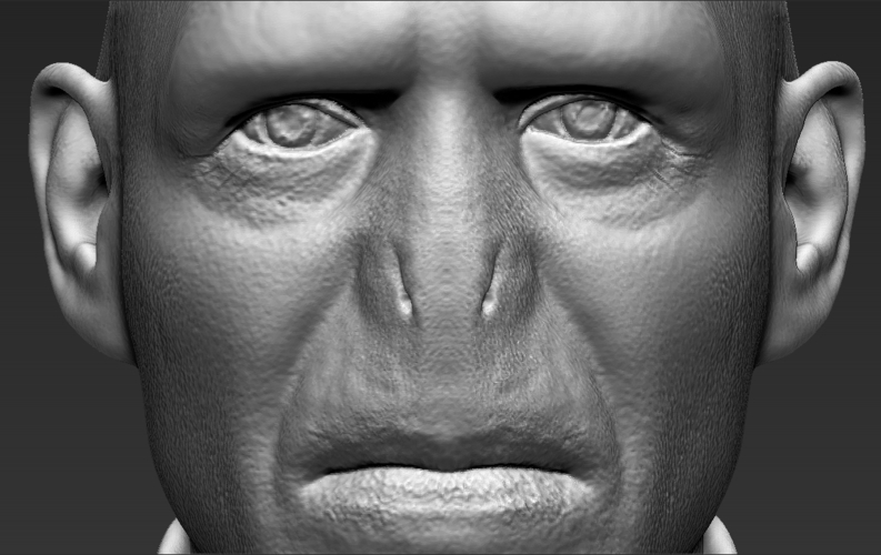 Lord Voldemort bust ready for full color 3D printing 3D Print 233055