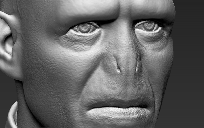 Lord Voldemort bust ready for full color 3D printing 3D Print 233056