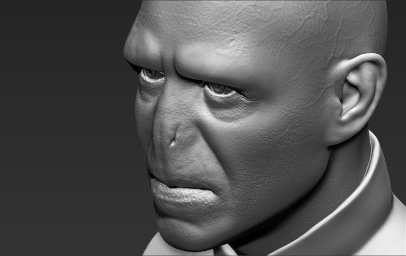 Lord Voldemort bust ready for full color 3D printing 3D Print 233057