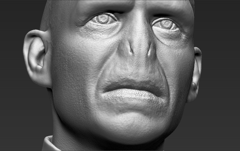 Lord Voldemort bust ready for full color 3D printing 3D Print 233058