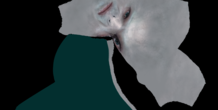 Image 233060