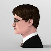 Harry Potter bust ready for full color 3D printing - Thumbnail 5