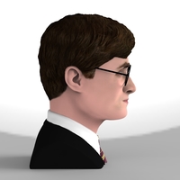 Harry Potter bust ready for full color 3D printing - Thumbnail 7