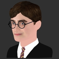 Harry Potter bust ready for full color 3D printing - Thumbnail 10