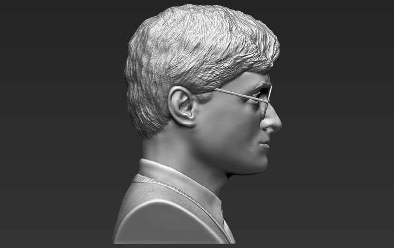 Harry Potter bust ready for full color 3D printing 3D Print 233098