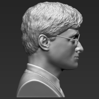 Harry Potter bust ready for full color 3D printing - Thumbnail 18