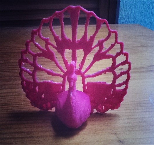 Peacock 3D Print 23311