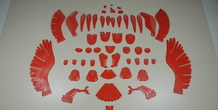Image 233751