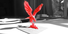 Image 233755
